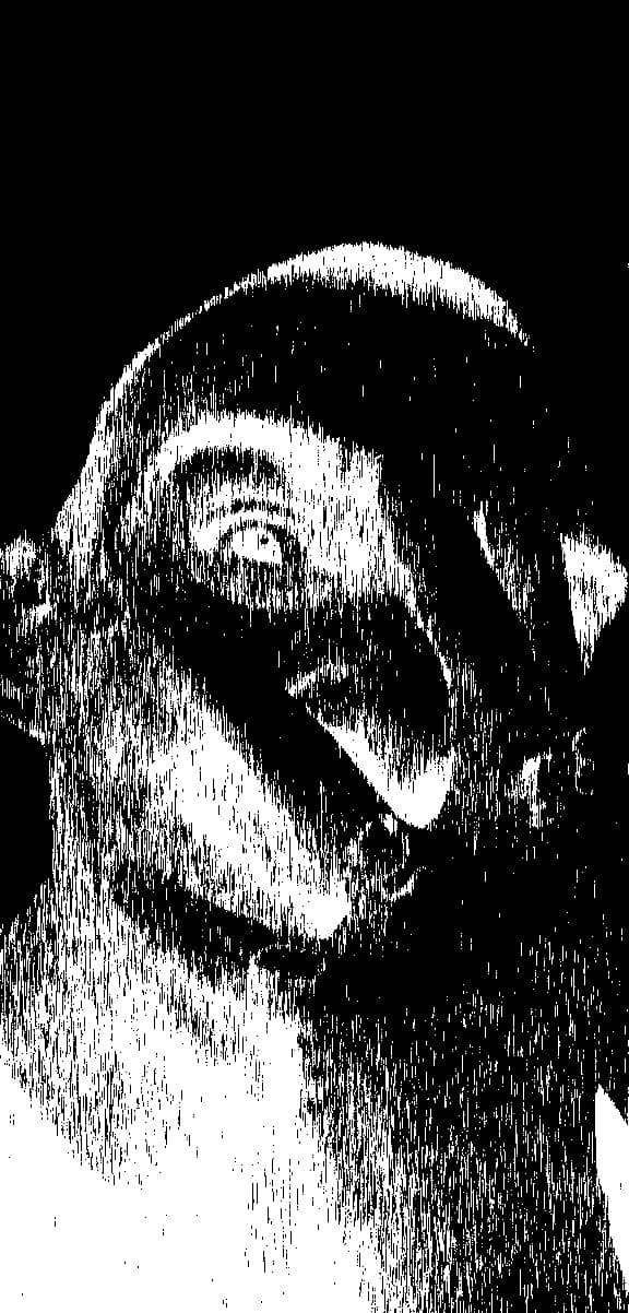 iva's avatar