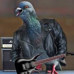 golebiusz's avatar