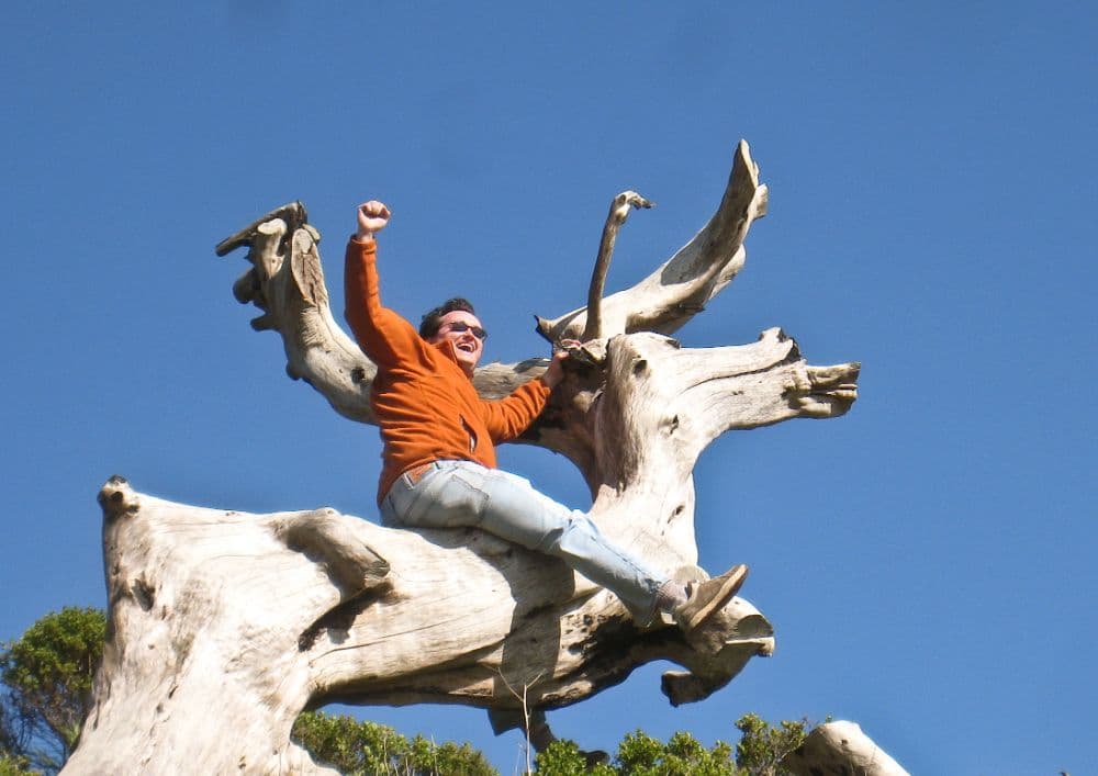 gsbe's avatar