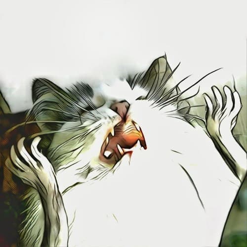 oneared's avatar