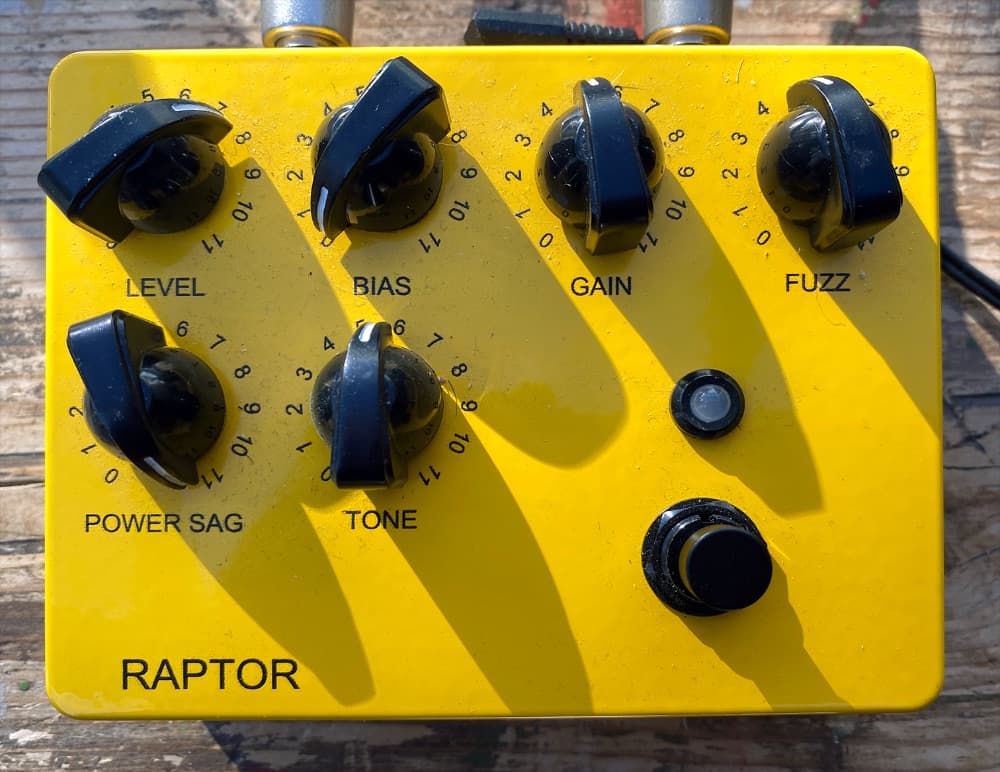 Bluewhale Raptor