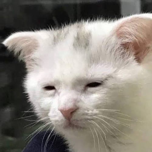 guayabo2225's avatar