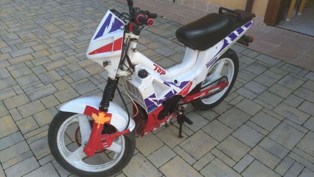 guineapigrocks75's avatar