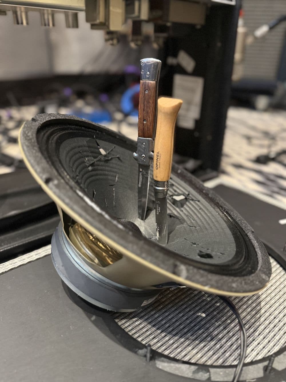 Cut Up Celestion G12 Vintage 30