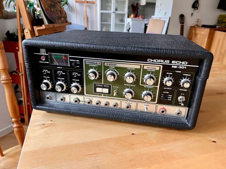 Roland Re-301