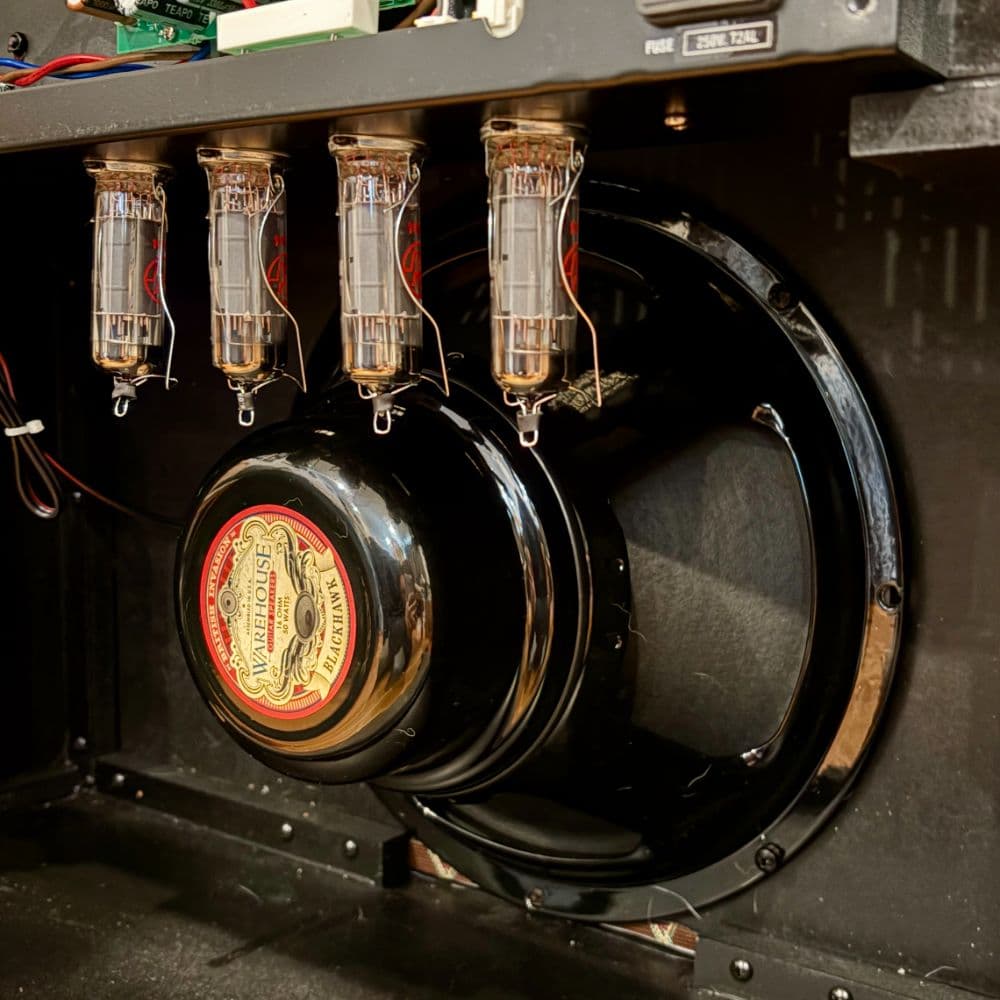 WGS BlackHawk Alnico (50W, 16Ω, AC30S1 cab)