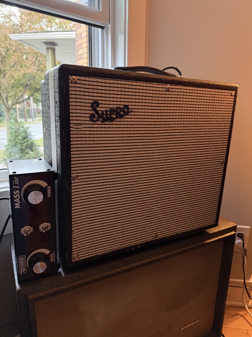 Supro Black Magick Tyler Bryant + MXR MicroAmp + Way Huge Swollen Pickle DI