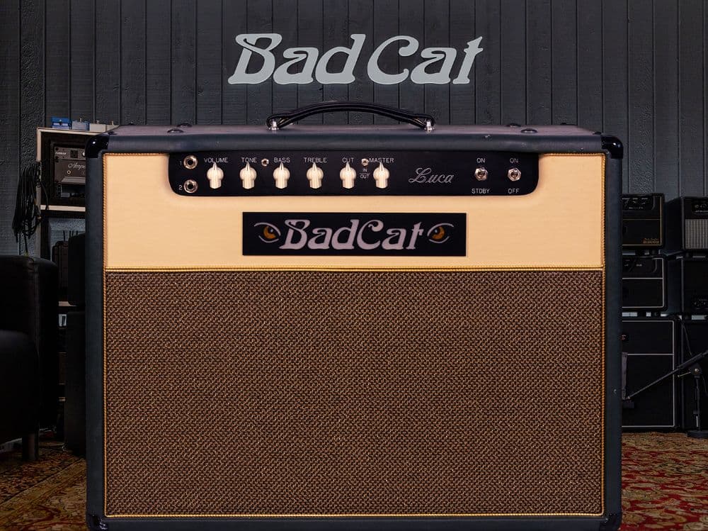 Bad Cat Luca - DEMO