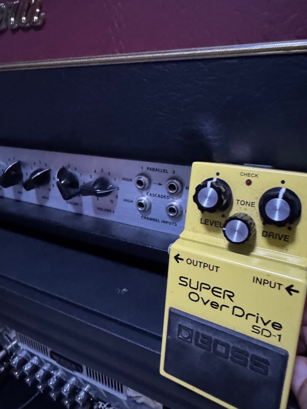 SD-1 + Bugera 1960infinium P'pop the sun