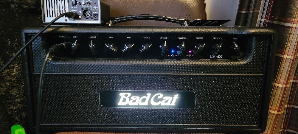 Bad Cat Lynx
