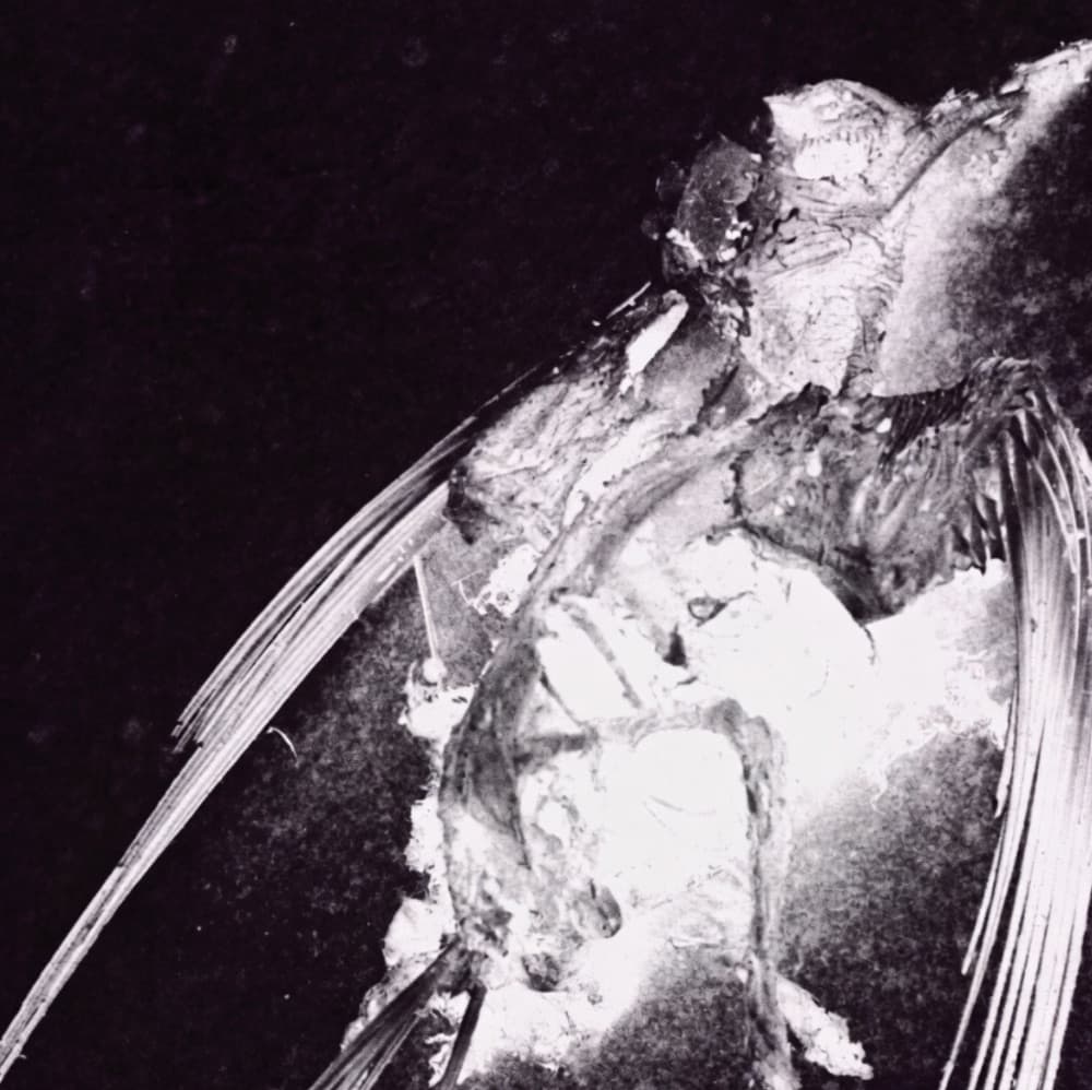Katatonia "Brave Murder Day"