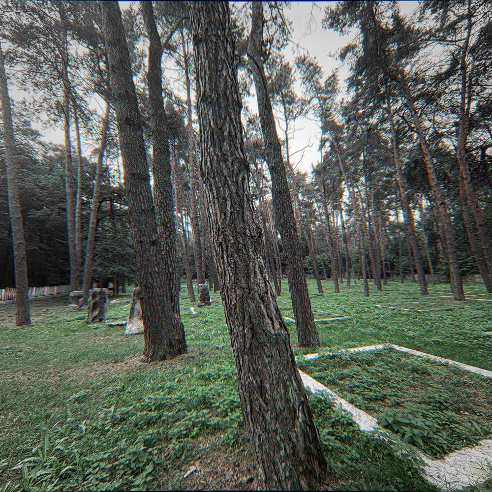 Old Cemetery • THAMNOS