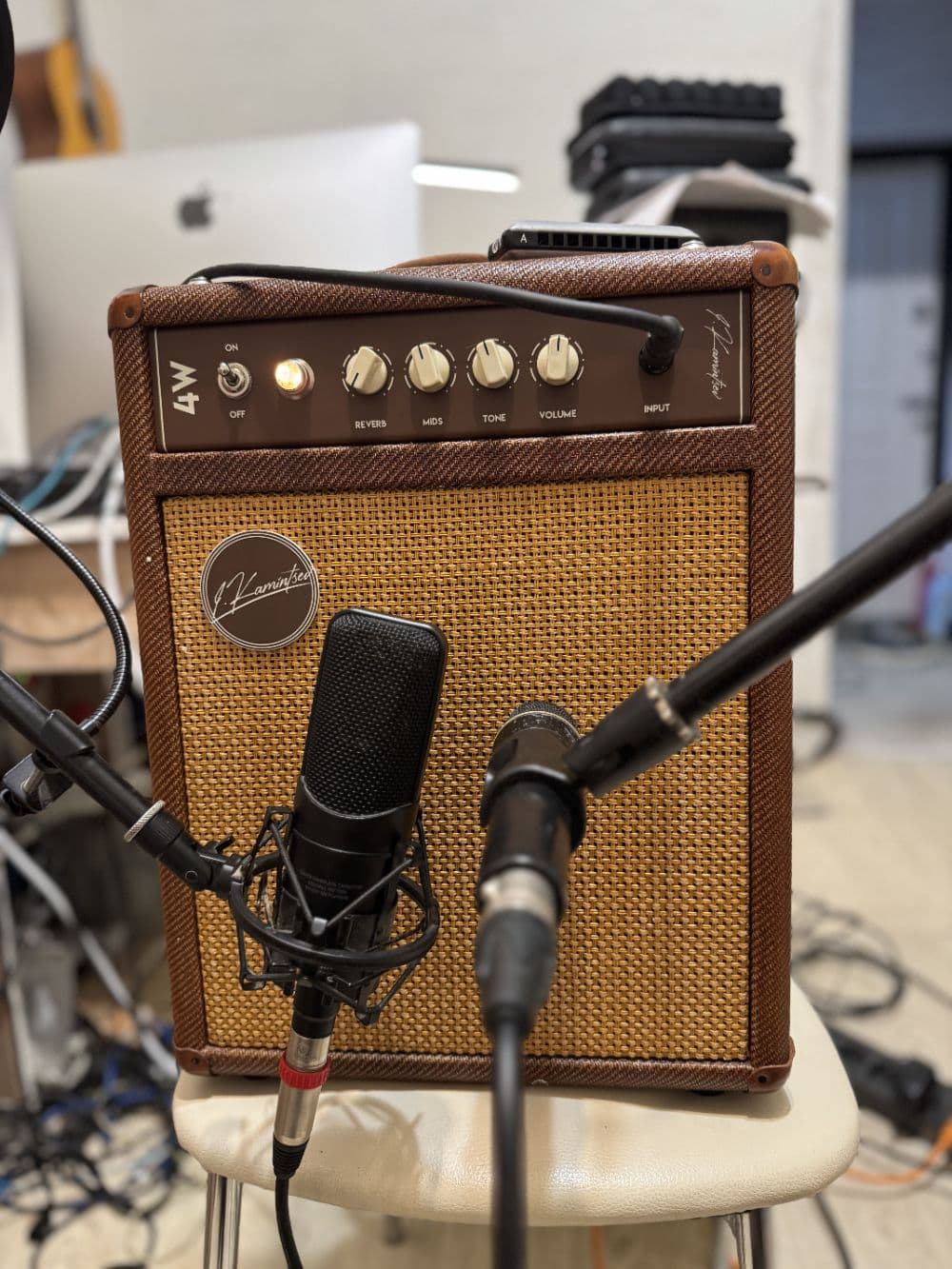 Kamintsev harmonica harp amp (Fenderish)