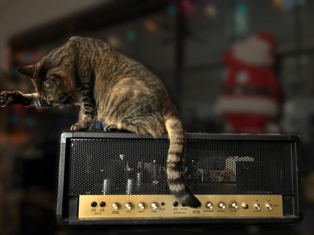 Peavey Windsor