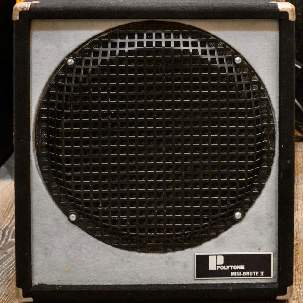 Polytone Mini Brute III 15" (Jazz Only)