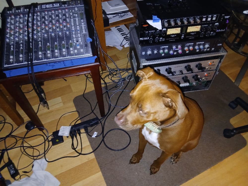 TONE3000