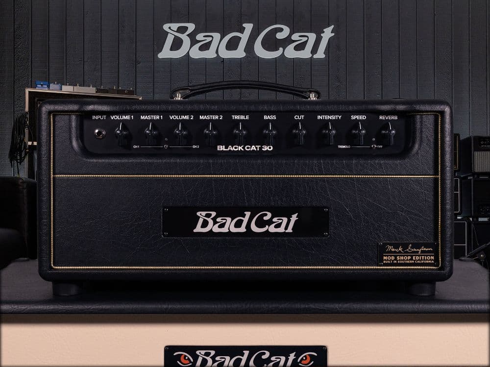 Bad Cat Black Cat MS Mod Shop - DEMO