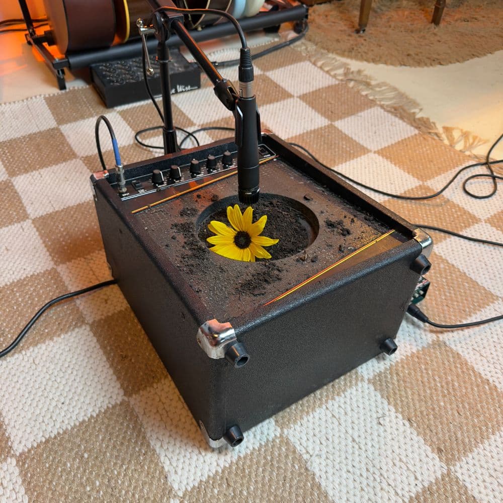 Literal "Dirty" Tone
