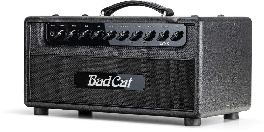 bad cat lynx with a 2x12 mesa can