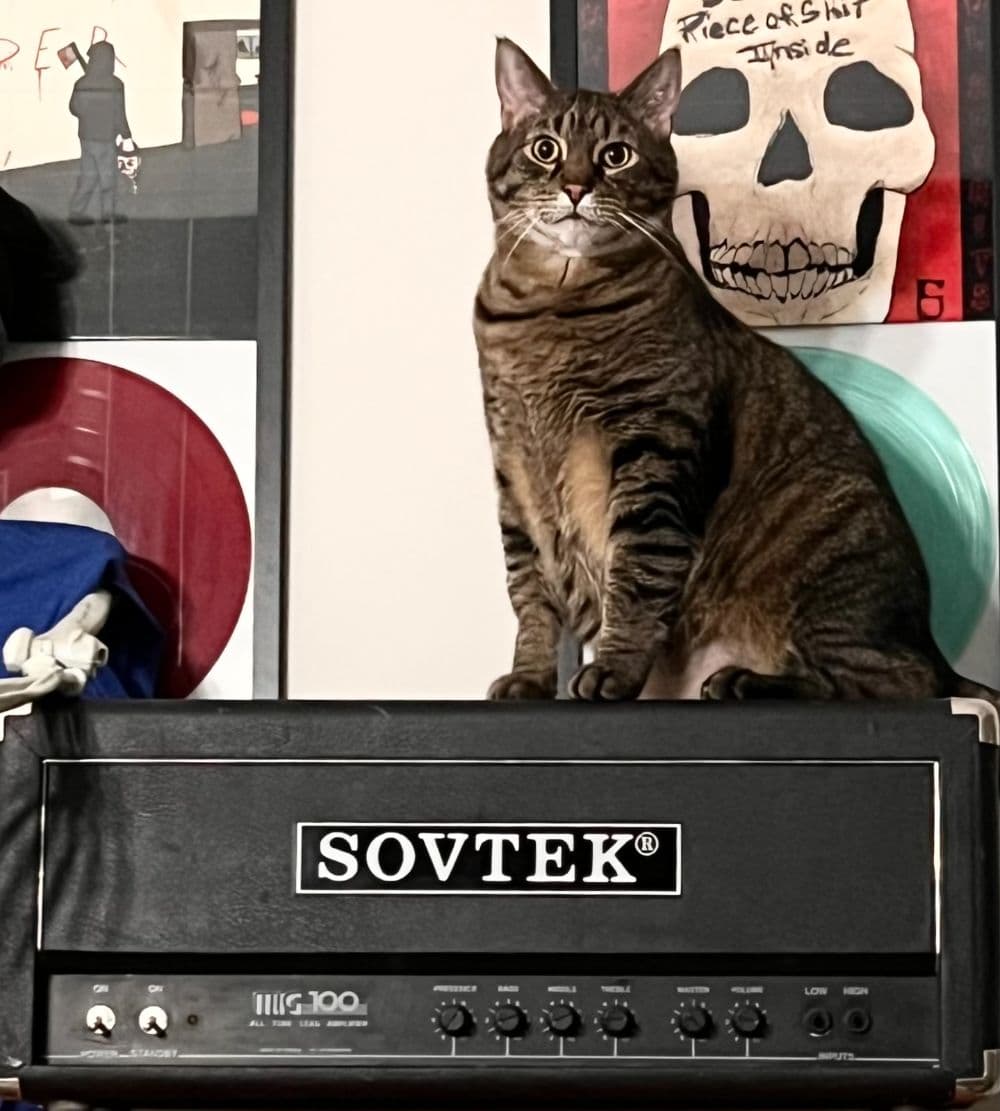 TONE3000