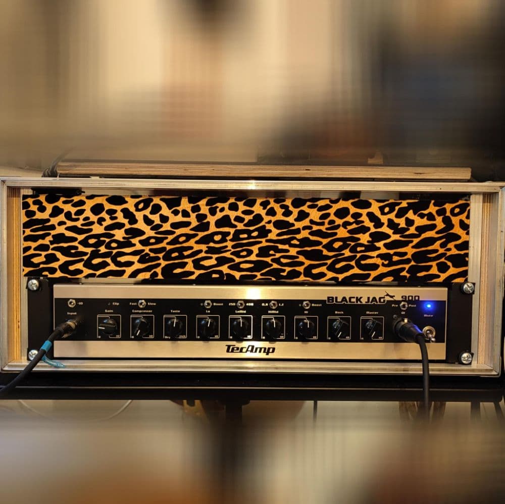 TecAmp Blackjag 900