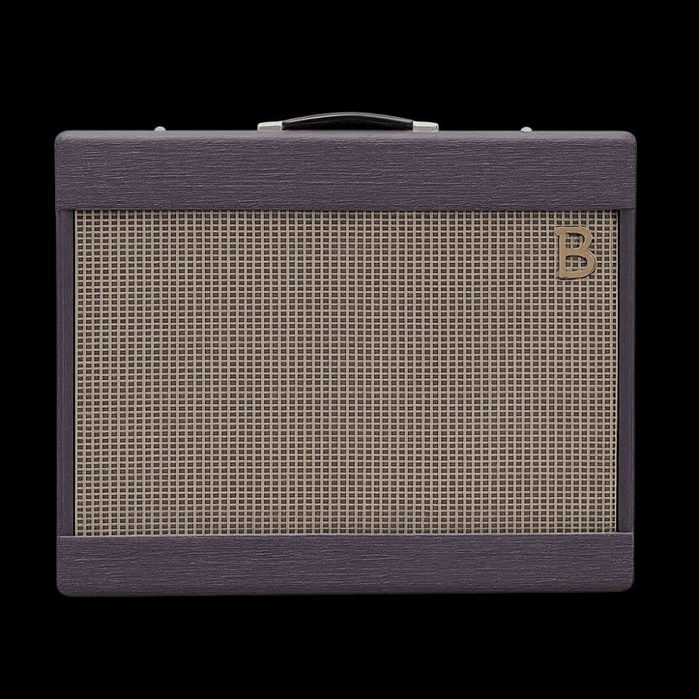 Beltone AP-24 - 2X10 - 1957 - Gtrmike