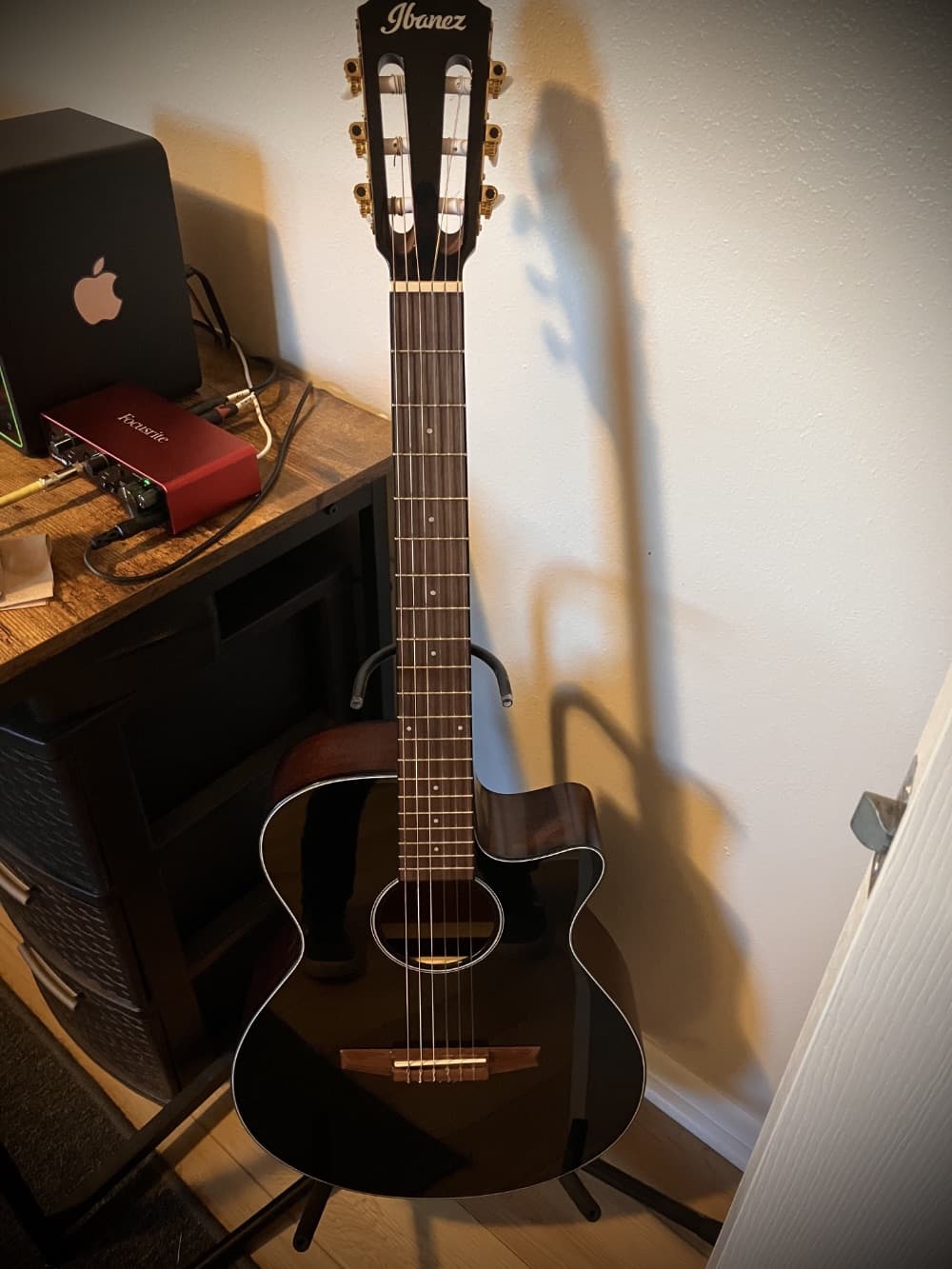 Ibanez AEG50N (Classical)