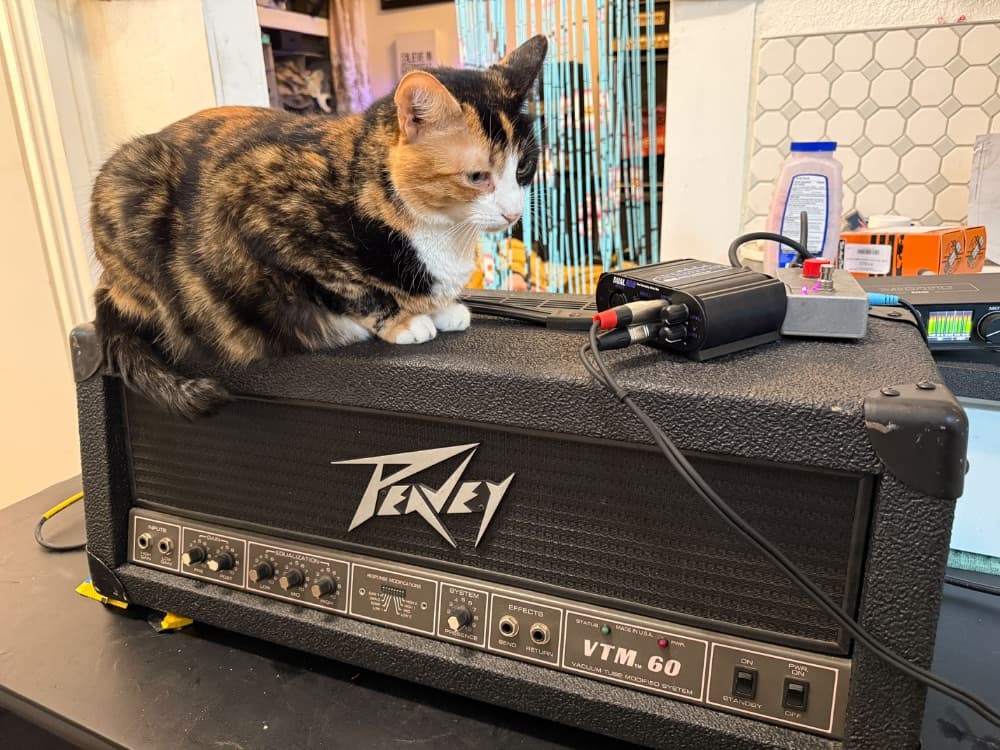 Peavey VTM 60