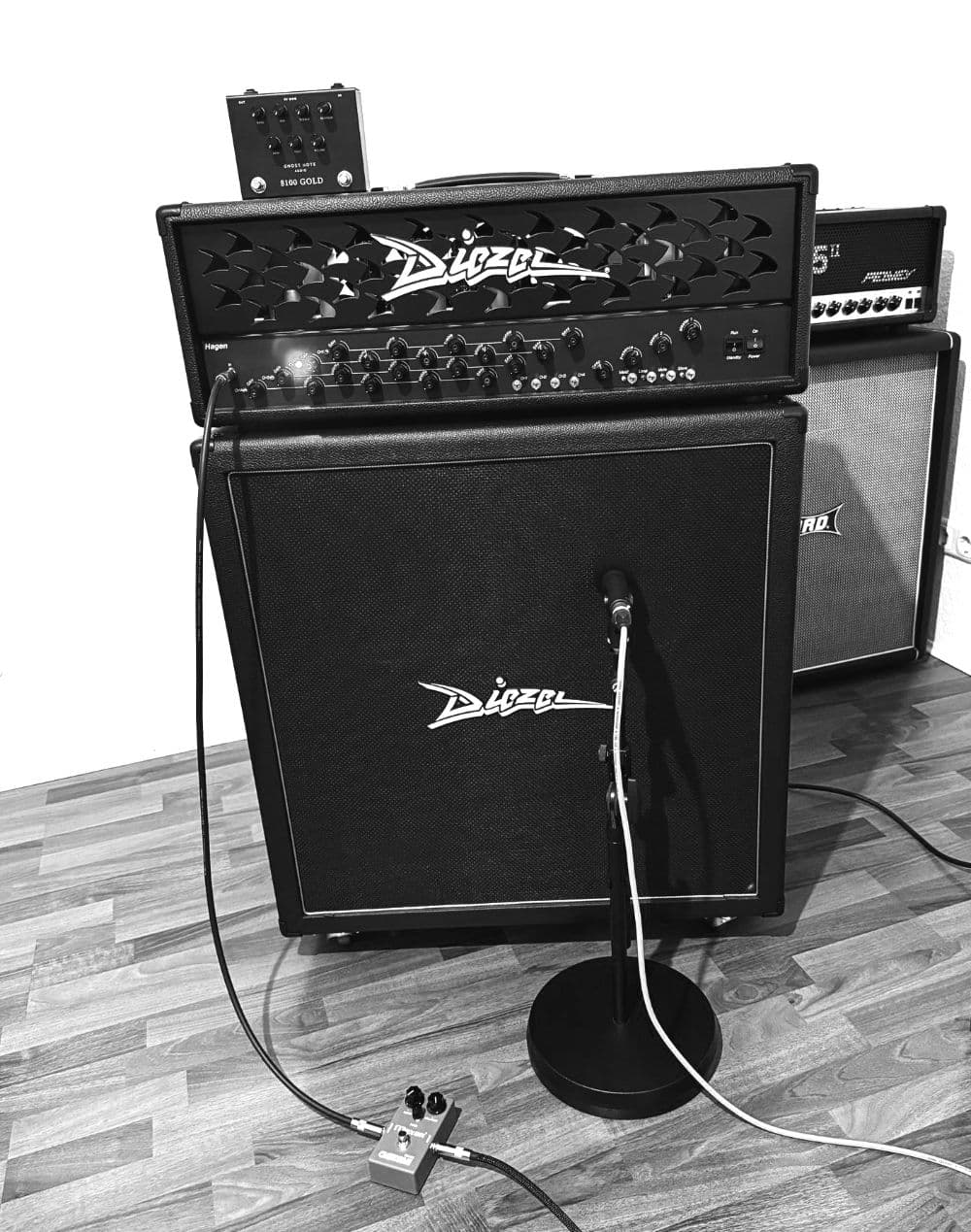 Maxon OD808, Diezel Hagen CH2, Diezel 4x12 FL V30, Shure SM57, LANG 312L Full Rig (advanced training!)