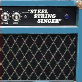 Dumble Steel String Singer