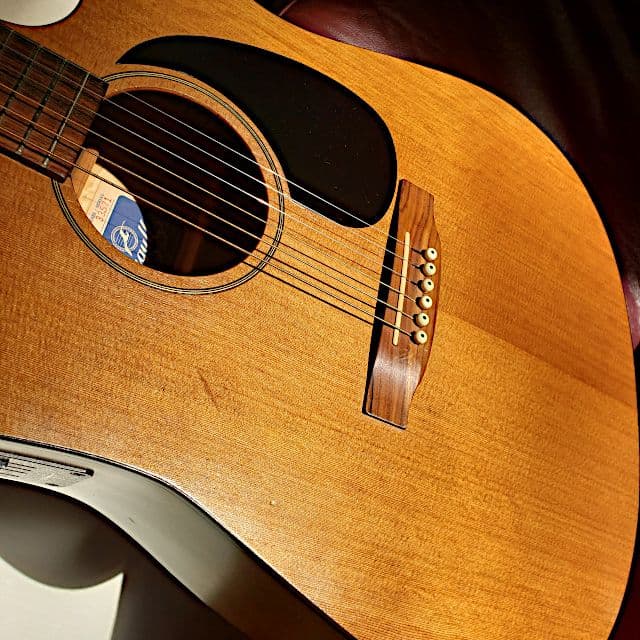 90's Seagull S6 Cutaway L.R. Baggs