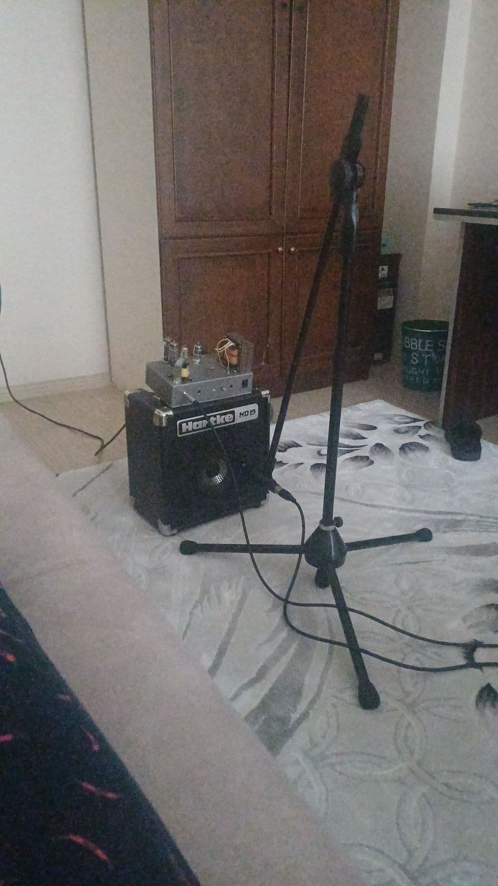 Custom Made Class AB Tube Amp with Hartke HD15 Bass Amp Cabinet 2026