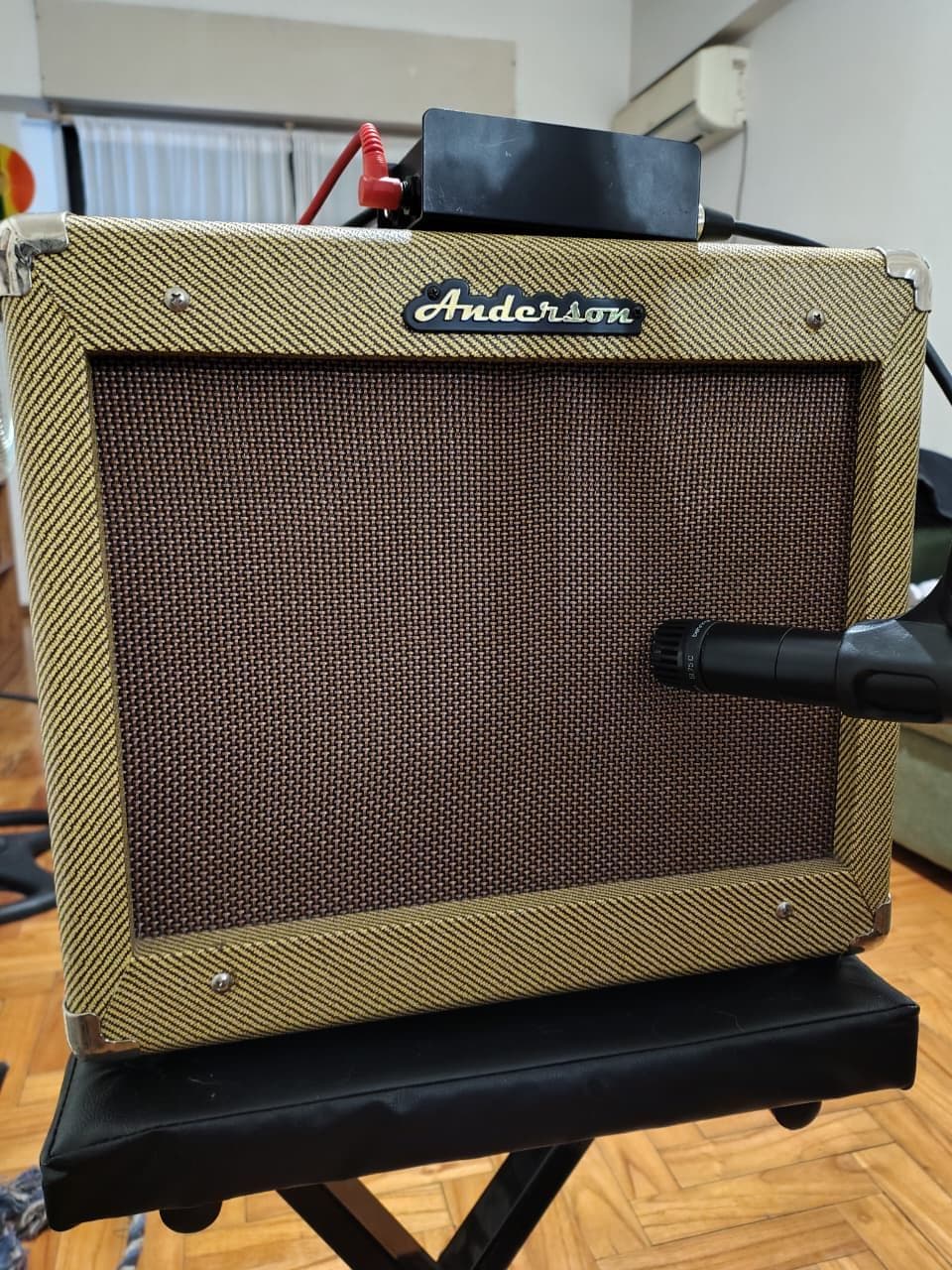 Anderson 25GR 25w Transistor Amp