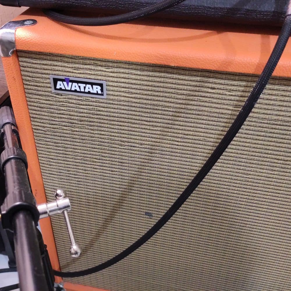 Avatar 2x12 Cabinet (w/ Eminence Governor and Cannabis Rex speakers)