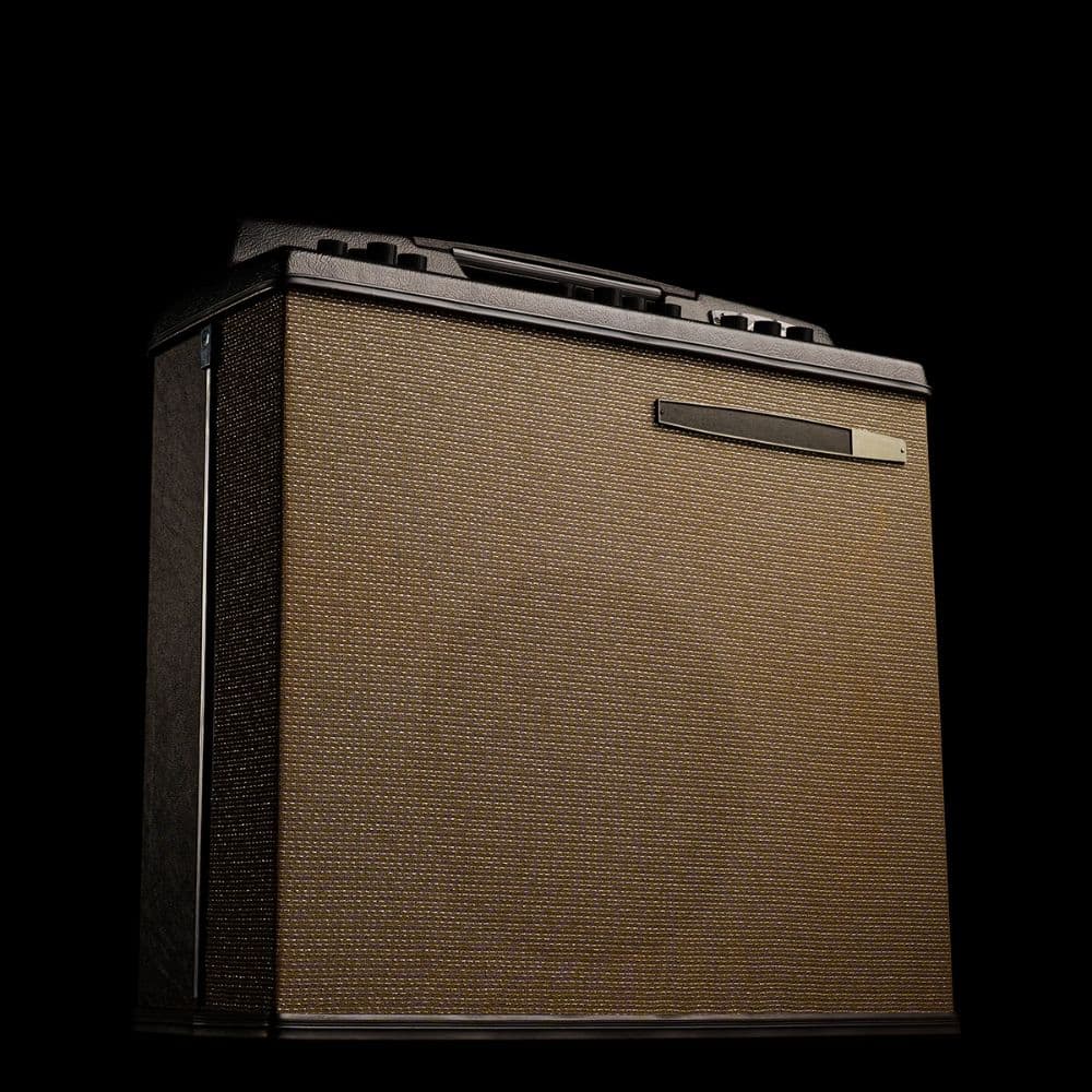 1966 Magnatone M10A Crunch - A2