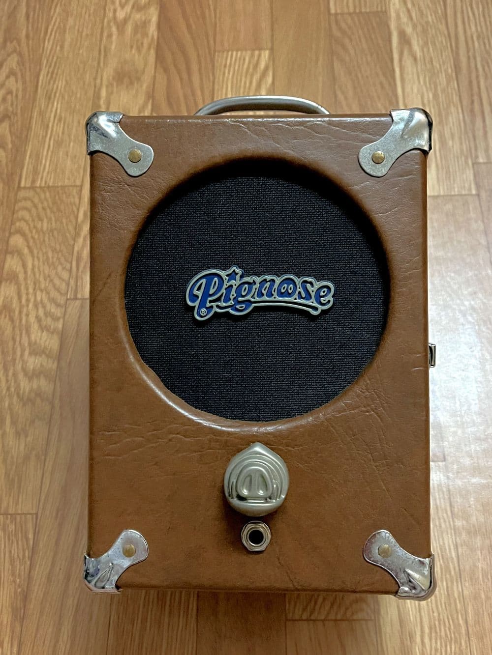 Pignose 7-100R (1994) – Clean Setting