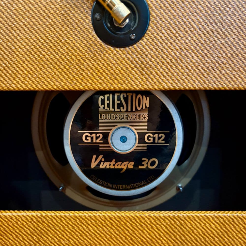 Celestion Vintage 30 (8Ω, custom cab)