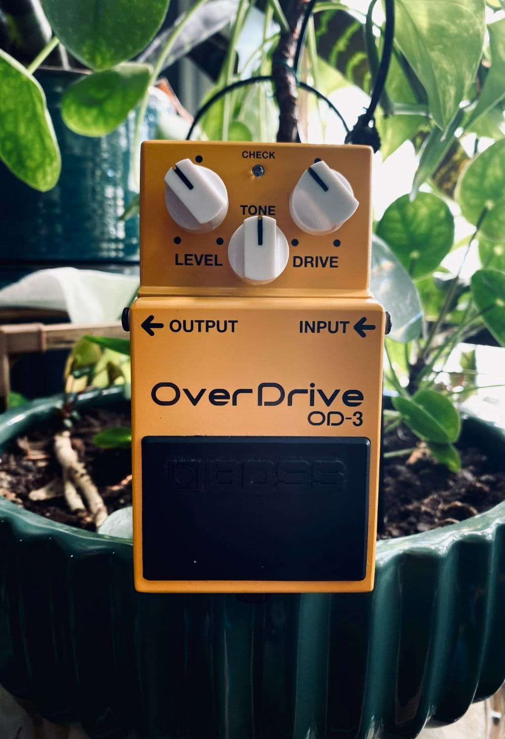 TONE3000